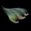images/fluebindere/alois_trubner/RAPTORZ_PIKELFY UV CHEEKS_PARTRIDGE_I.jpg